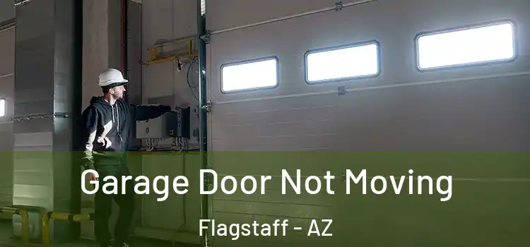  Garage Door Not Moving Flagstaff - AZ