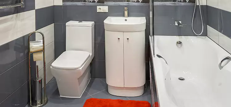 Hansgrohe Shaving Mirror Flagstaff