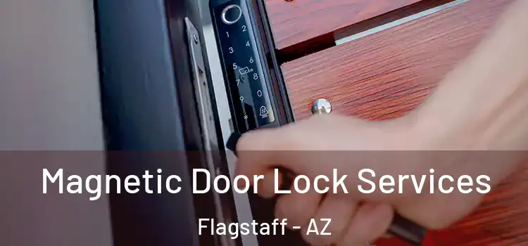 Magnetic Door Lock Services Flagstaff - AZ